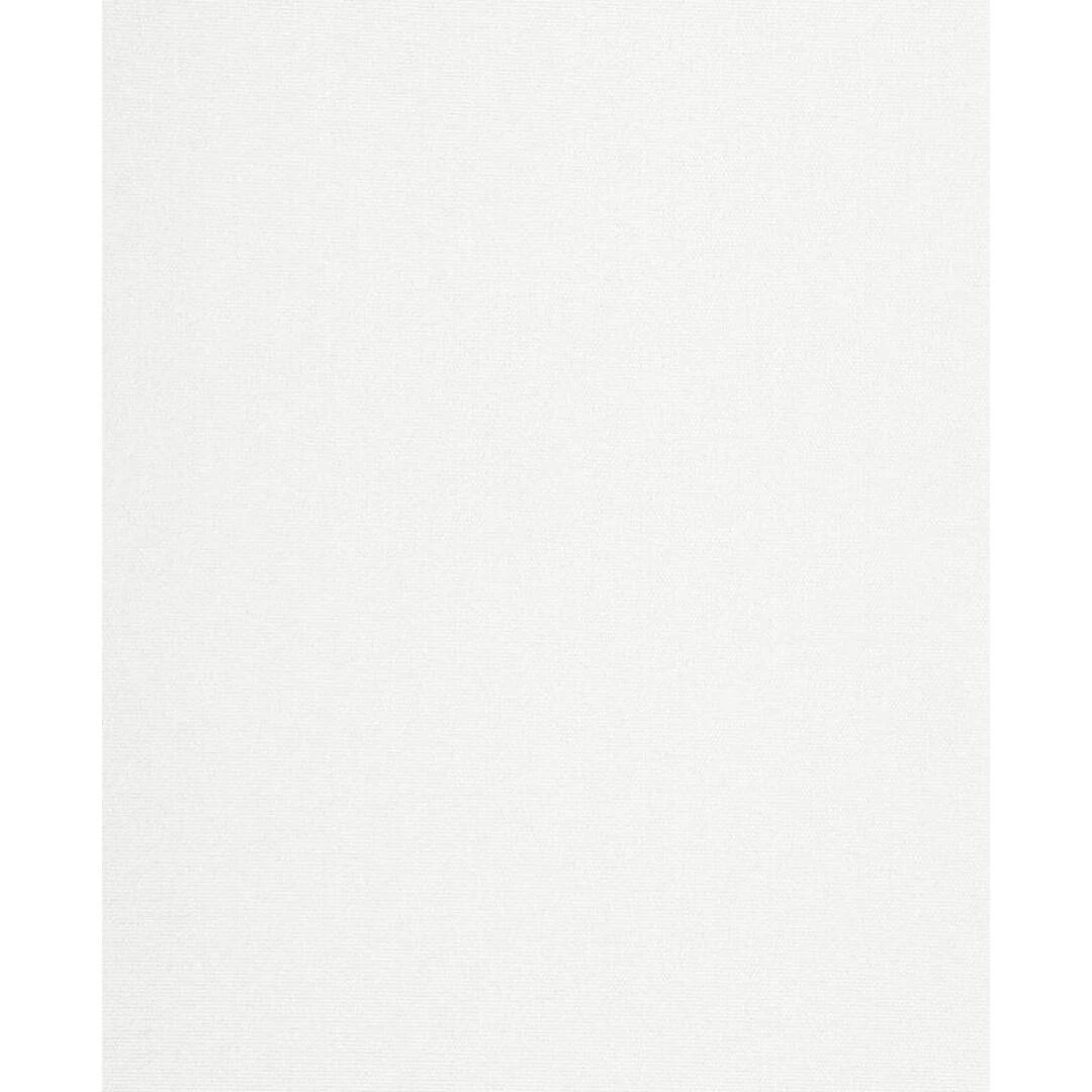 2001 BLACKOUT WHITE 1